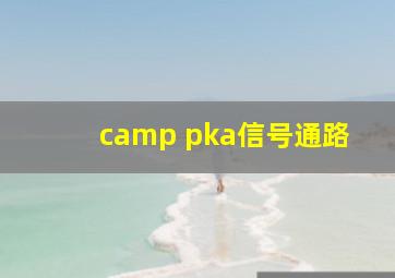 camp pka信号通路